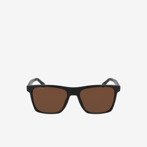 Men’s Lacoste Color Block Plastic Sunglasses