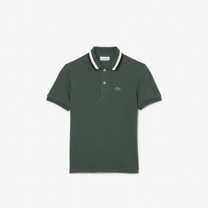Boys' Lacoste Tricolor Collar Cotton Petit Pique Polo Shirt