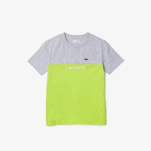 Kid's Lacoste Colourblock Organic Cotton Jersey T-shirt