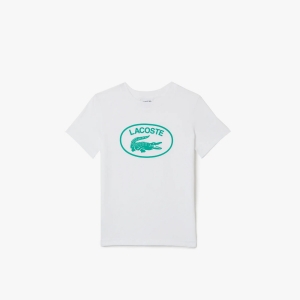 Kid's Lacoste Contrast Branded Cotton Jersey T-shirt